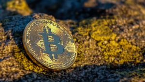 Grafische weergave van Cardano en Dogecoin met blockchain-technologie symboliek en munten