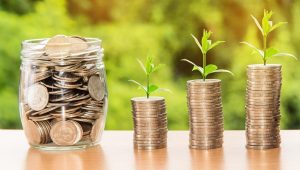 Werkkapitaal voor seizoensgebonden groei: flexibele financieringsoplossing voor bedrijven met pieken en dalen in omzet